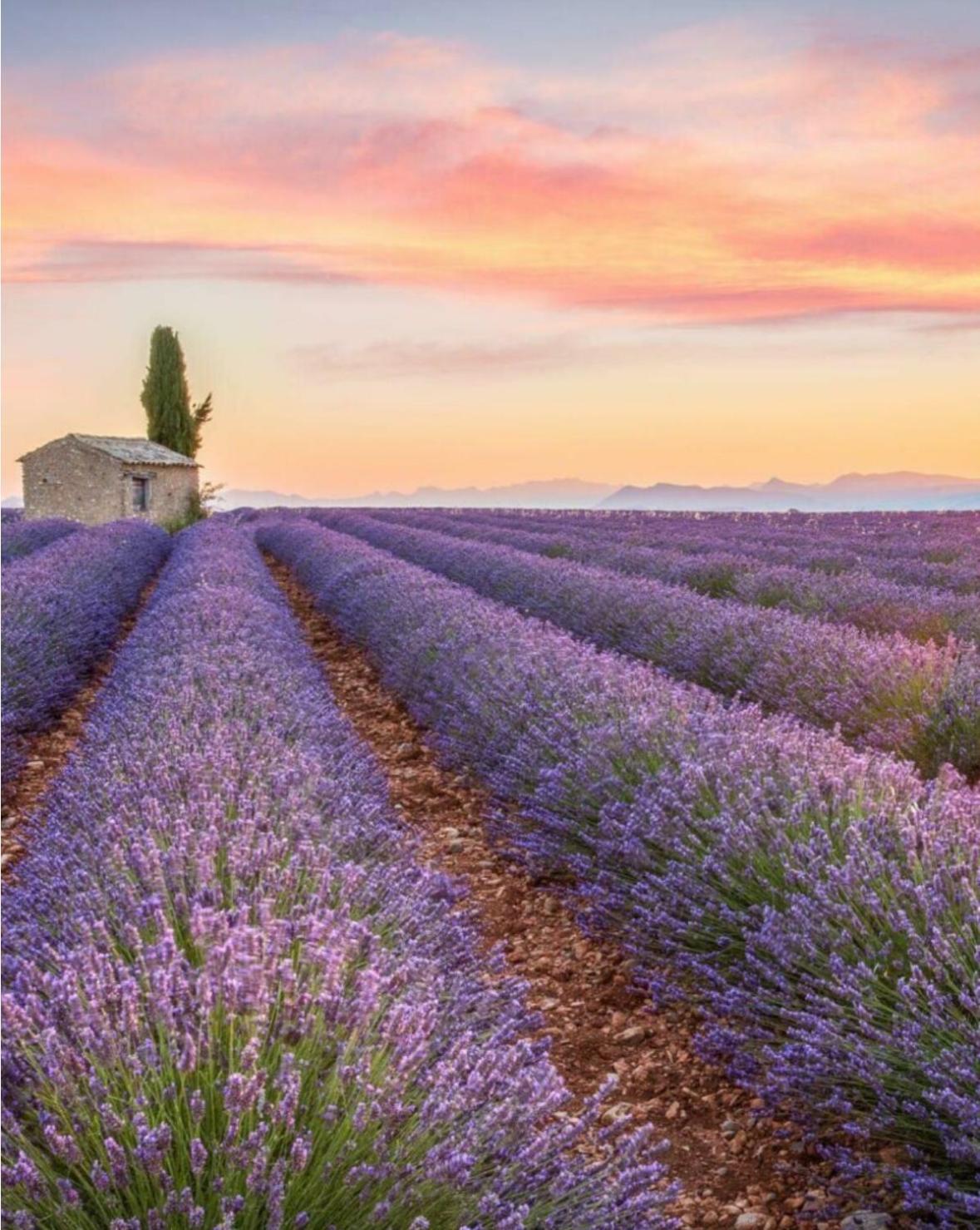 Fuvolea, Maison De Vacances A 15 Min Du Centre D'Aix-En-Provence, Piscine Chauffee En Saison - Jardin - Parking Prive Gratuit Fuveau ภายนอก รูปภาพ